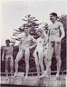 Nudists misc groups 5